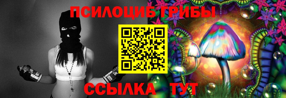 Сухой Лог  Галлюциногенные грибы Magic Shrooms  Вход с VPN 